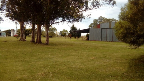 Imagen 24 de 30 de Campo Mixto En San Cayetano