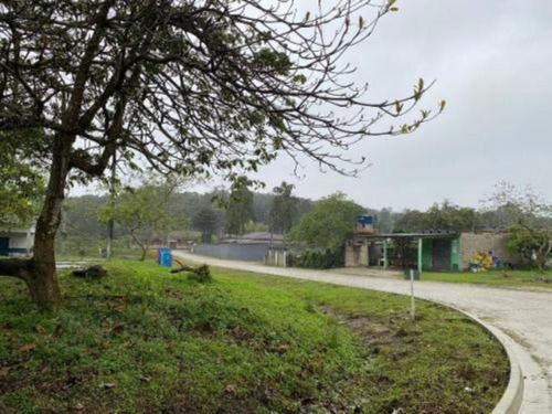 Imagem 6 de 12 de Lotes No Litoral, Em Itanhaém, No Bairro Jardim Anchieta, Com 125 M² De Área Total E Com Escritura