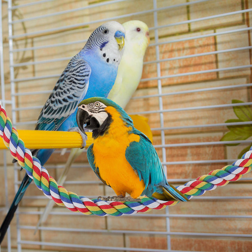 Cuerda De Algodón Con Forma De Loro, Duradera, Para Trepar,
