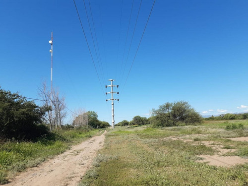 Campo En Venta Sobre Ruta 146 San Francisco, San Luis