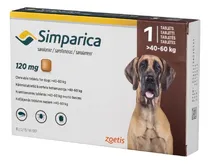 Comprar Tableta Antipulgas Garrapatas Simparica 40 A 60kg X 1 Unidad