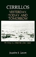 Libro Cerrillos, Yesterday, Today And Tomorrow : The Stor...