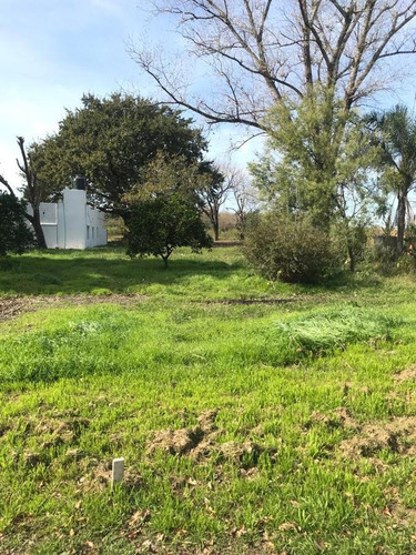 Imagen 11 de 30 de Terreno - Ibarlucea