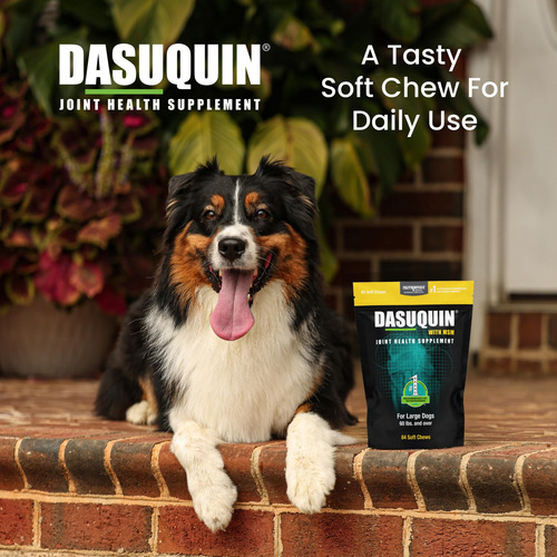 Masticables Suaves Nutramax Dasuquin Con Msm Para Perros