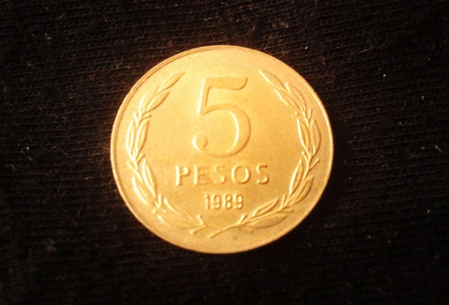 Moneda Chilena Cinco (5) Pesos  1989  (p07)