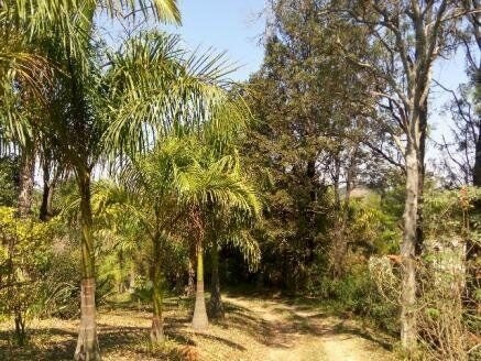 Imagem 7 de 7 de Chacara-para-venda-em-morro-das-pedras-valinhos-sp - Ch0018