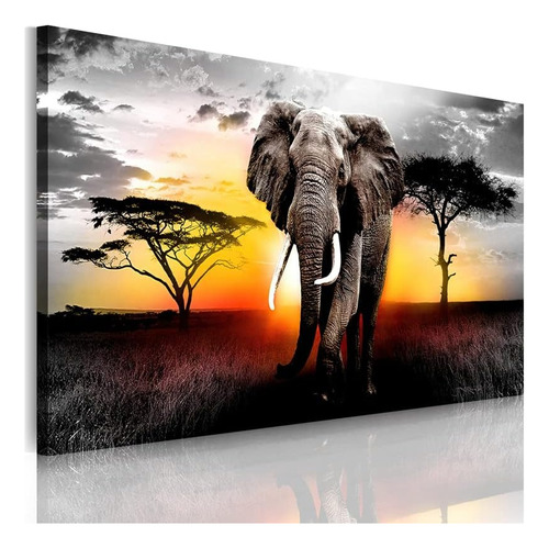 Canwalls Art Imagen Artística De Pintura De Elefante Sobre