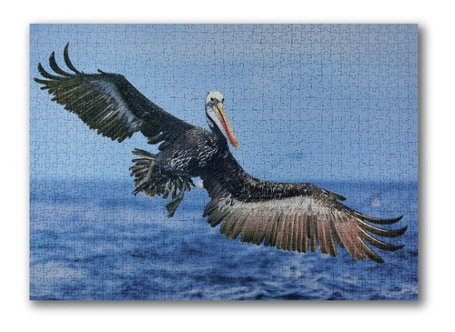 Imagen 2 de 4 de Puzzle 1.000 Piezas Animales: Pelicano Fauna Chilena