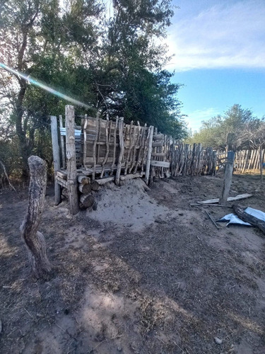 Imagen 9 de 14 de Campo Productivo En Leandro Alem