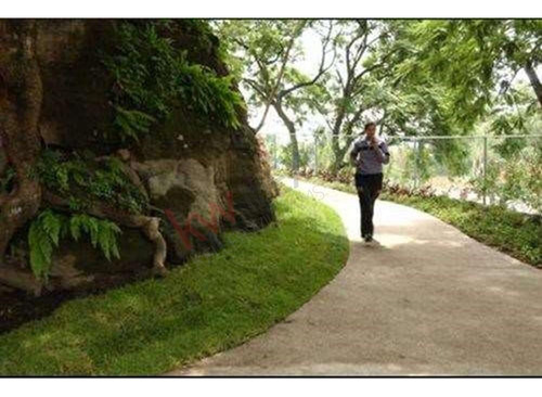 Vive Con Seguridad Y Confort En Real Las Quintas Cuernavaca: Lote En Venta