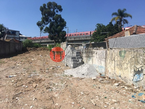 Imagem 13 de 16 de Grande Oportunidade Terreno À Venda 10x67 M No Centro De Itaquera - 4690