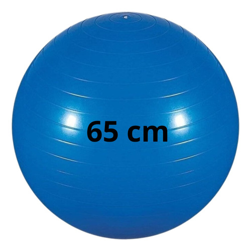 Bola Suiça Pilates Fisioterapia 65cm Yoga Gestante Funcional Cor Azul