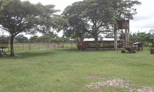 Imagen 9 de 9 de Finca En Sector Madre Vieja, Barinas