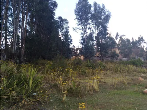 Vendo Lote N.2 En Altos De San Jorge Duitama