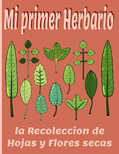 Mi Primer Herbario La Recoleccion De Hojas Y Flores Secas: 1