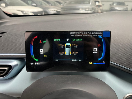 BYD Dolphin Mini 0.0 Plus Ev