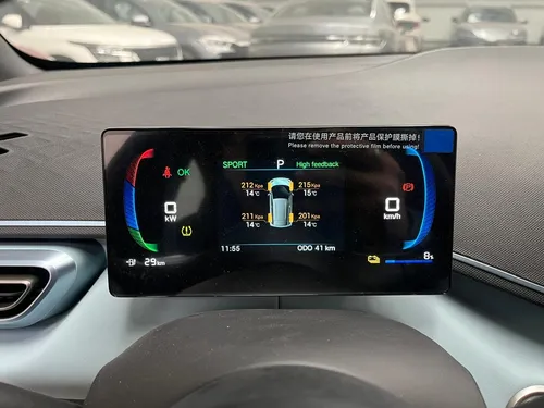 BYD Dolphin Mini 0.0 Plus Ev