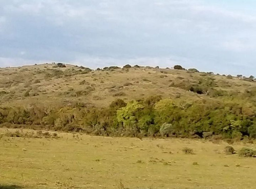 Venta Campo De Sierra En Maldonado