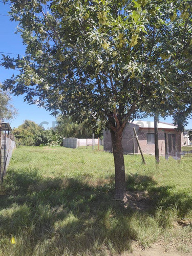 Venta Terreno En Andino