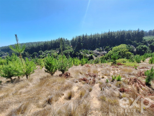 Sitio L37 Vista Amplia En Venta En Pichilemu