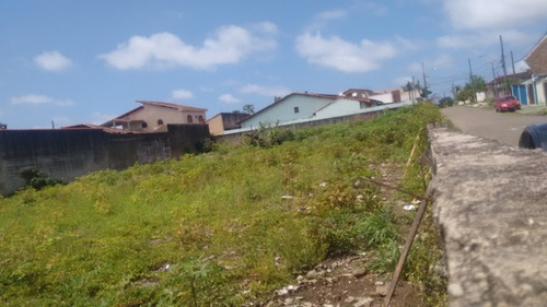 Imagem 1 de 4 de Terreno - 543 - 33566681