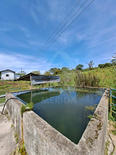 Finca La Azulita