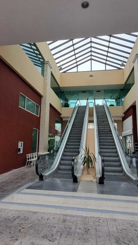 Oficinas 130 M2 Centro De Cancún Plaza Las Palmas Av Xcaret Con Av Cobá