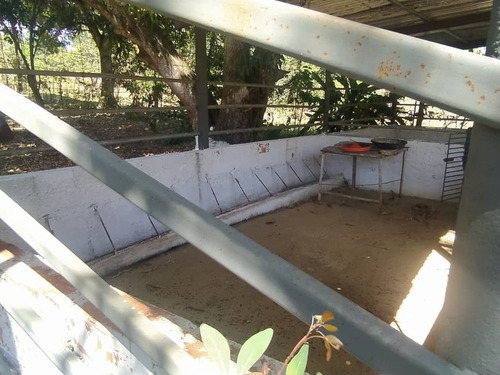 Imagen 20 de 30 de Se Vende Granja Cojedes Att-134 04125067379 04244900499