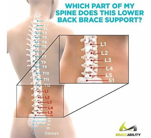 Braceability Inferior De La Espalda Y Dolor En La Columna C