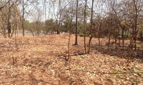 Imagem 13 de 17 de Terreno No Residencial Aldeia Do Vale - 2153