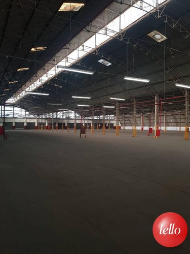 Imagem 14 de 14 de Comercial/industrial - Ref: 203230