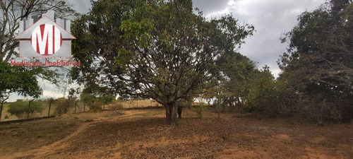 Chácara Arborizada Com 03 Dormitórios, Pomar E Ótima Localização, À Venda, 2000 M² Por R$ 270.000 - Zona Rural - Pinhalzinho/sp - Ch0739