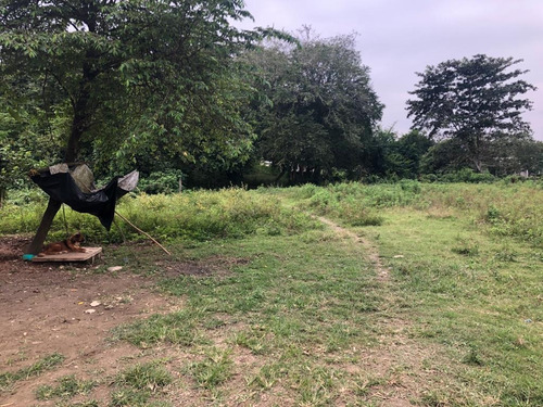 Imagen 11 de 14 de Terreno - San Juan Bautista Tuxtepec