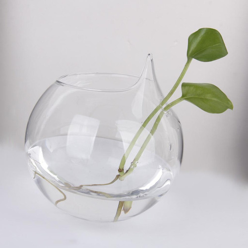 6 Macetas Hidropónicas De Cristal, Jarrón De Flores,