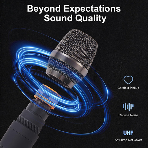 Mezclador De Audio Profesional De Siking Con Micrófono Dual,