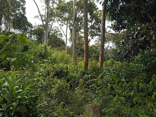 Finca En Guacamayas, Santander, Al Día En Documentos.