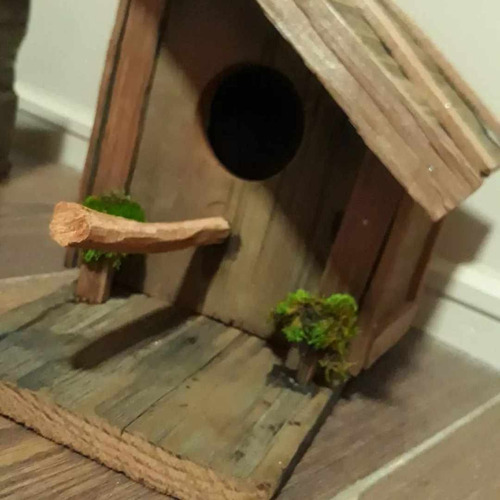 Casitas Para Pajaro