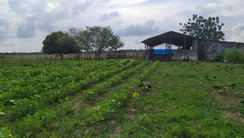Imagen 5 de 7 de Vía La Salesiana, Sector La Orurita Ii Alto Barinas