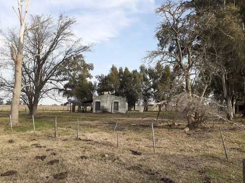 Imagen 2 de 21 de Campo Ganadero En Roque Perez Muy Bien Ubicado A 15 Km Del Asfalto