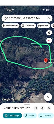 Se Vende O Permuta Campo De 26 Has. Con Eucaliptus En Chudal