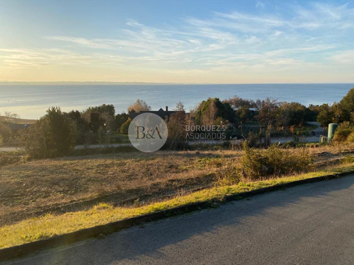 21907 - Parcela Con Playa Y Vista Al Lago