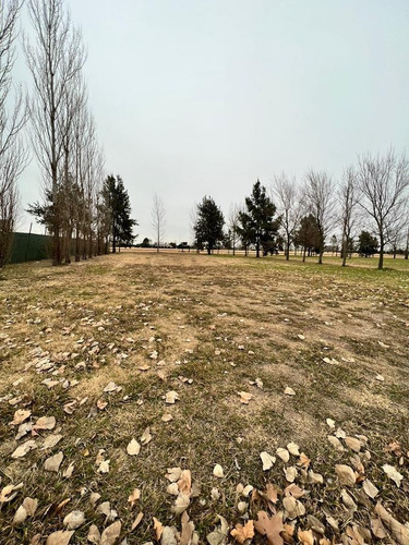 Imagen 7 de 12 de Terreno - La Rinconada - Lote 36 - 1000m2