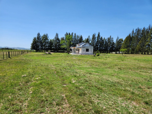Imagen 14 de 30 de Chacra 5 Hs Con 2 Casas - Consulte !!! - Zona Rural Zona Rural