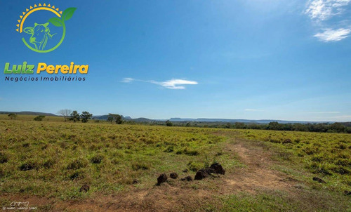 Imagem 8 de 14 de Fazenda À Venda Em Anastácio - Ms - De 510 Hectares (dupla Aptidão) - 1790