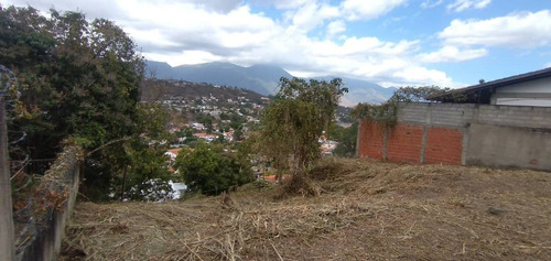 Imagen 3 de 7 de Terreno En Prados Del Este