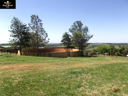 Excelente Haras Em Piquerá Porto Feliz-sp À Venda - Ha00001 - 69229779