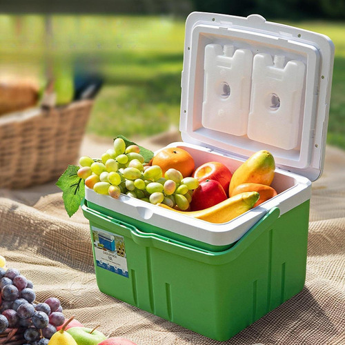 Caja De Refrigerador Para Acampar Estuche Aislada Fría 13l