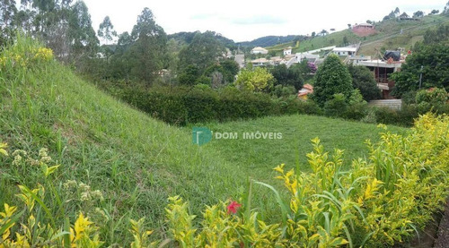 Imagem 28 de 30 de Chácara Com 3 Dormitórios À Venda, 1200 M² Por R$ 450.000,00 - Pomar Da Serra - Juiz De Fora/mg - Ch0015