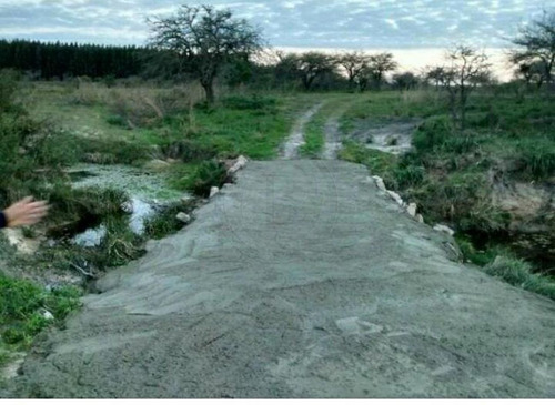 Imagen 10 de 14 de Bustamante Prop Campo Venta San Jose Colon Entre Rios