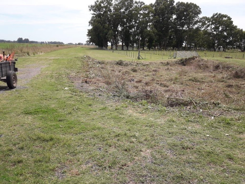Imagen 9 de 18 de Venta Chacra 40 Hs Con Criadero De Cerdos En Las Flores.